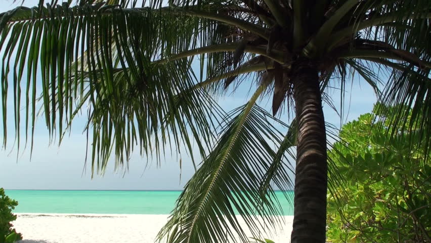 wild beach with white coral sand
