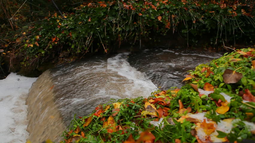 Backyard Stream Spillway