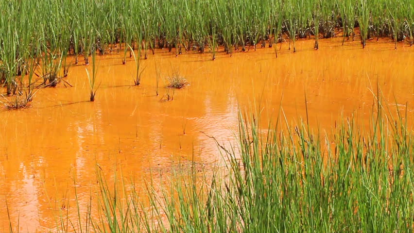 Iron rich earth deposit in the ochre beds and paint pots in Kootenay National Park, British Columbia, Canada