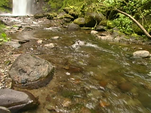 Pan from stream to cloudforest waterfall
