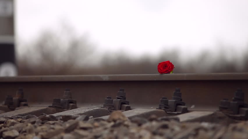heavy freight train crush fragile red rose on the rail