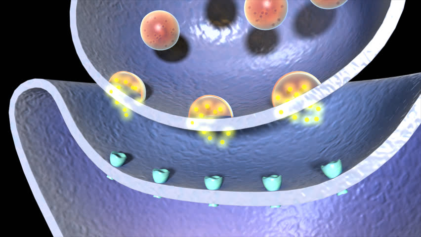 Header of Acetylcholine