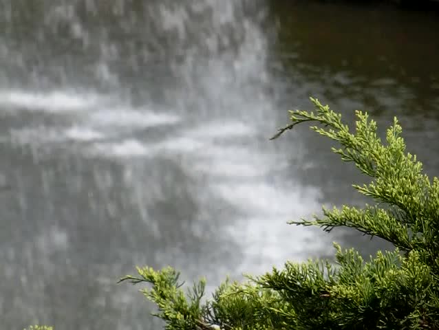 The fresh green and waterfall