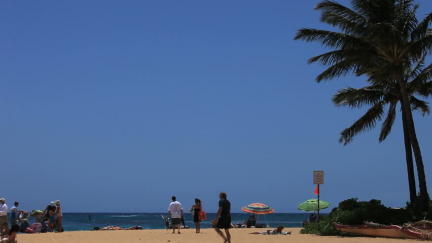 View of sandy beach with palm tree looking out wards ocean