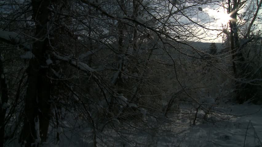 sun shot through woods as sleigh comes out of woods in profile then going away, Leavenworth, Washington