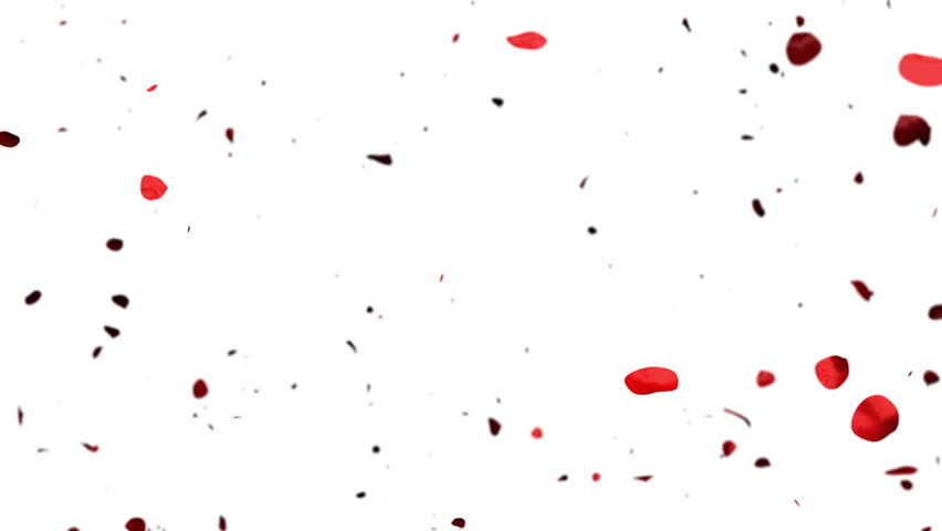 Rose Petals forming a Heart, Alpha