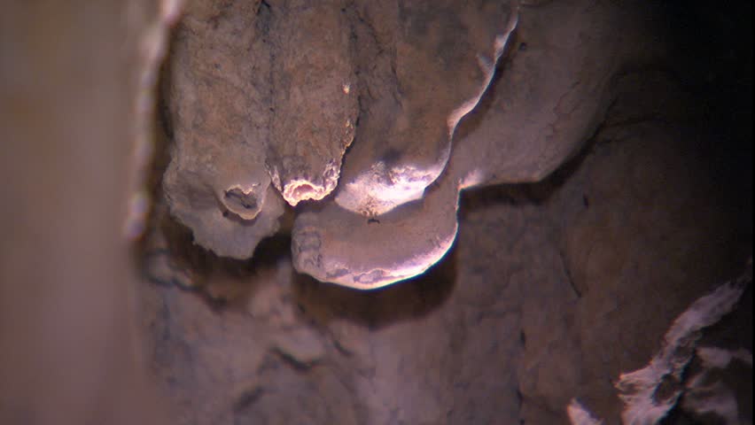 Stalactites in Carter Cave