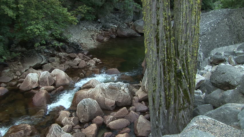 Tree and boulders along the Merced River in Yosemite National Park, California. Format: NTSC HDV Compression: MotionJPEG-A Camera: Sony HVR-Z1U Size: 1080i (1920 x 1080) Sound: No