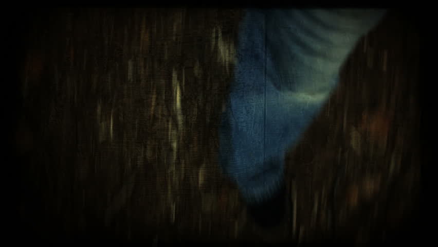 Steps on forest path, vintage imitation clip. HD