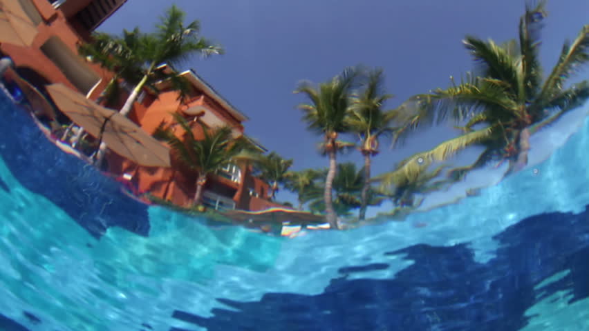 a camera placed underwater in a swimming pool, filming the sky and palm trees. the water makes an unusual effect