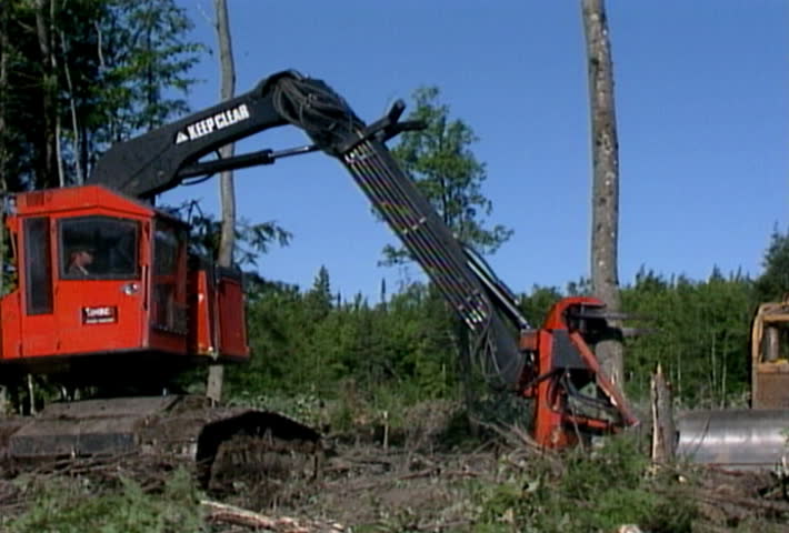 Lumbering tree cutting machine
