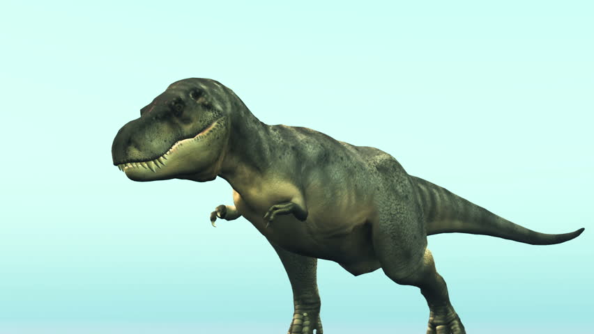 dinosaur