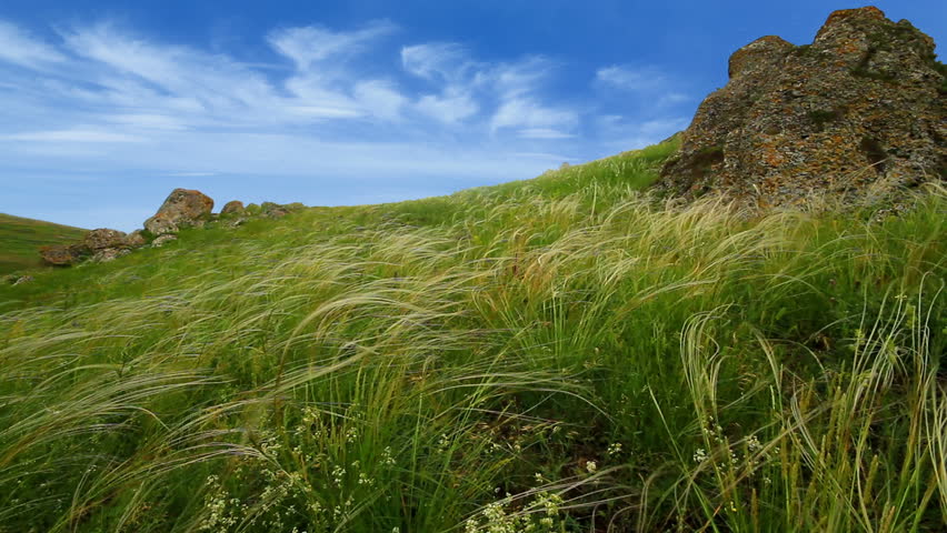 timelapse of the Crimean steppes. feather grass and moving clouds.
