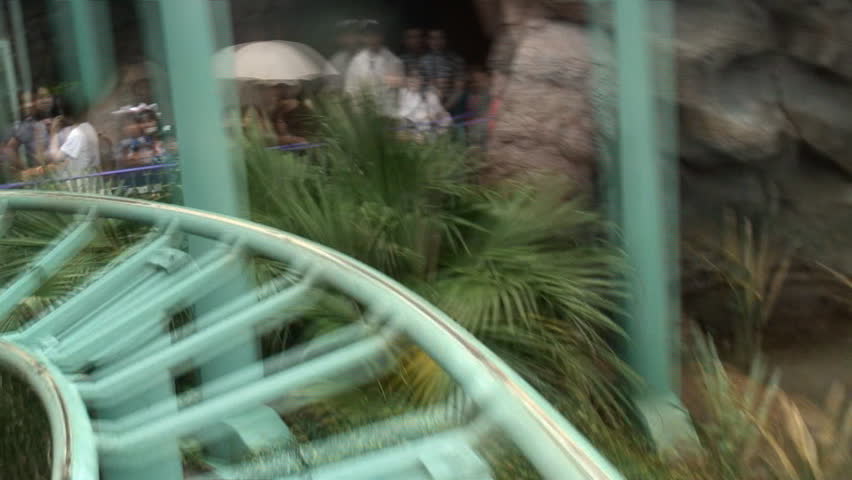 rollercoaster