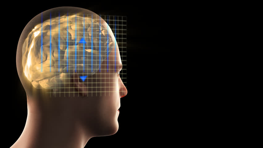 Male brain with neural electrical activity blue arrows show cerebrum cerebral cortex brain signal transmission superior view 3D human head skull anatomical model black background visualization