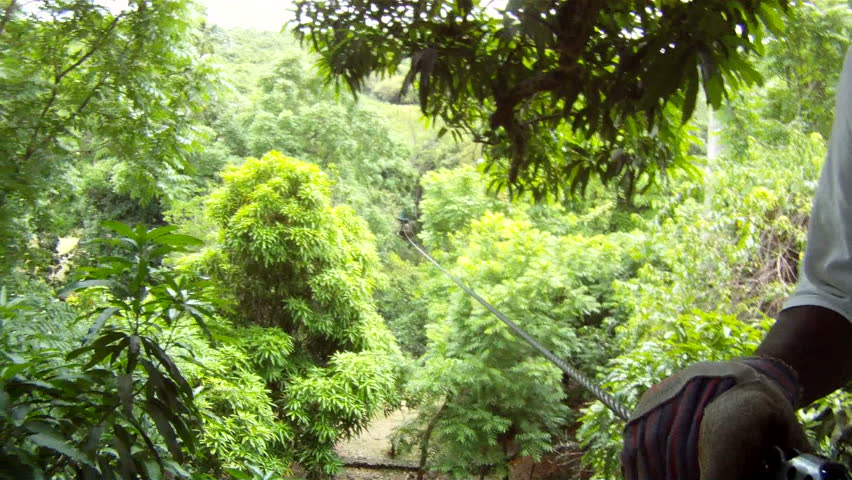 Zip Line
