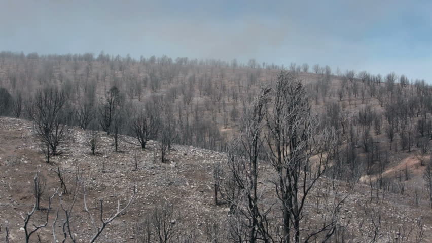 Forest fire mountain ash twister extreme weather. Forest wildfire intense flames, smoke and destruction. Charred and burnt homes and business. Wood Hollow Utah. FEMA Federal Government assistance. 