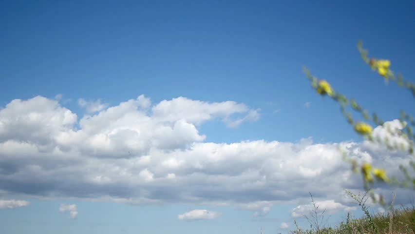 Clouds over the bloomy field timelapse