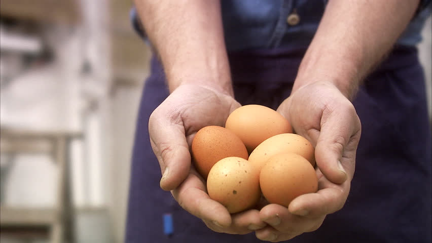Farmer with many eggs