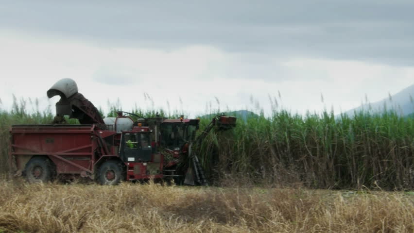 a sugar cane harvester and truck cut cane in far north Queensland, Australia