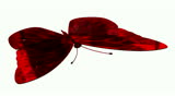 Ruby butterfly with white background