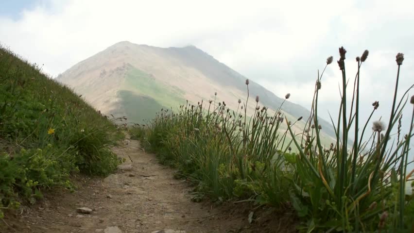 Son and father walking in the high Alps mountains