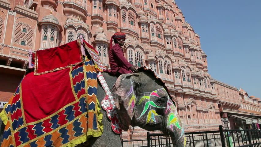 JAIPUR, INDIA - CIRCA MAY 2011: Ceremonial decorated Elephant outside the Hawa Mahal, Palace of the Winds