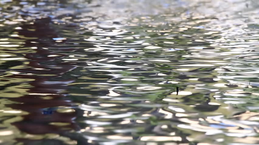 abstract blurred shot of a lake