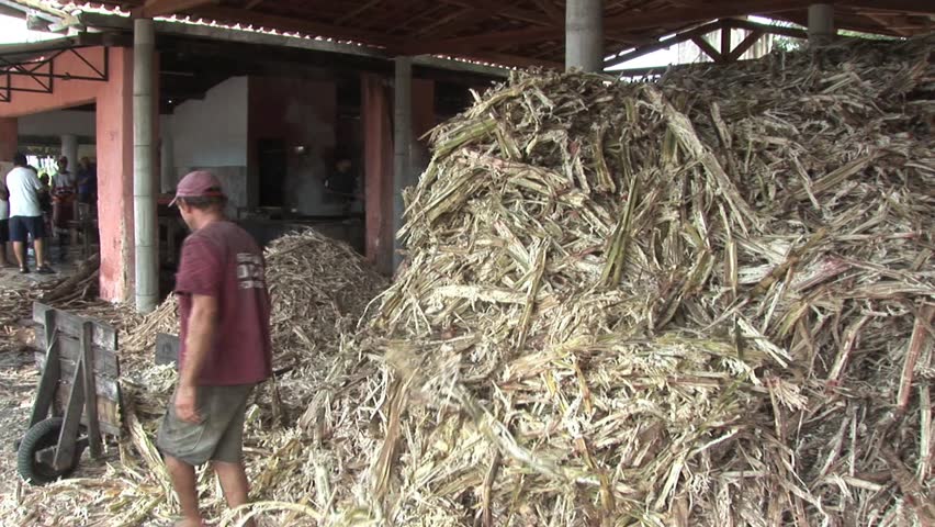 BRAZIL NORTHEAST - CIRCA 2010: Worker Transfers Sugar Cane 3