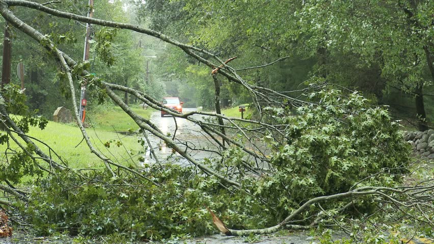 NEW ENGLAND - CIRCA SEPTEMBER 2011: Storm damage -- downed trees blocking road