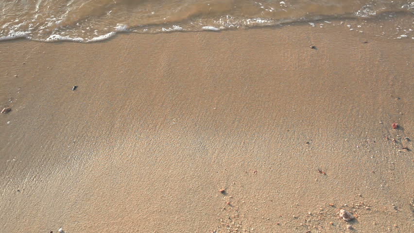 wave and sand beach