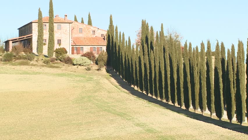 TUSCANY, ITALY-CIRCA 2011-A wide shot of a farm villa with long rows of trees in Tuscany, Italy.