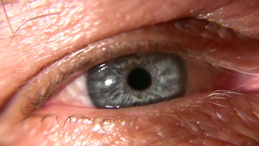 senior eye macro 