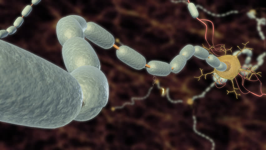 Close up view of a myelinated nerve axon sheath propagating an action potential along the neuron, across to neighbouring neurons