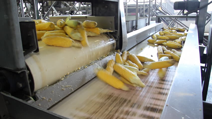 Corn processing factory