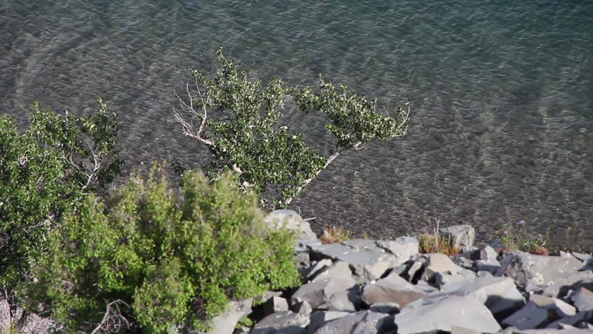 rocks, trees, wild life and water with sunshine