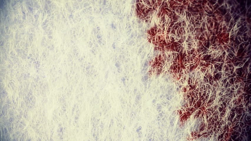 Dripping Ink on Paper. The paper absorbs Ink paint. Macro.