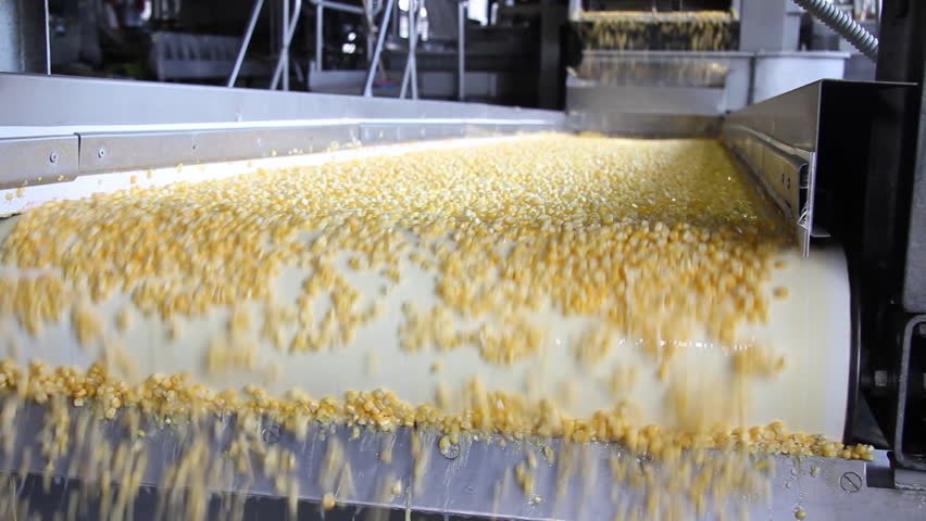 Corn processing factory