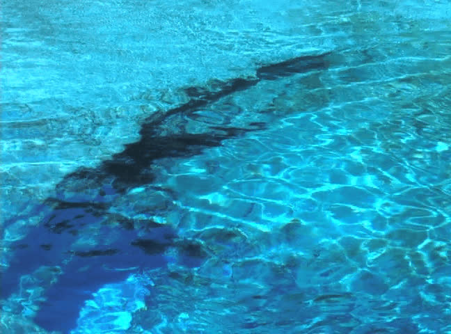 Water flows from a gap in the limerock at Blue Springs in High Springs, Florida.