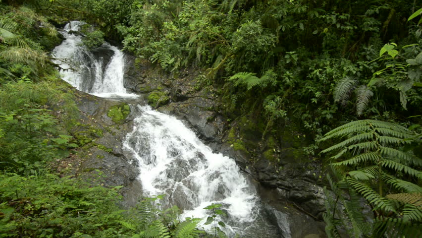 Cloud forest Waterfall,La Amistad International Park Panama, Central America