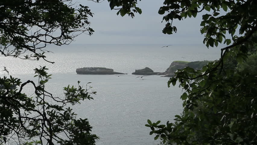  Silhouetted Frigate bird flying, Las Perlas archipelago, Panama, Central America
