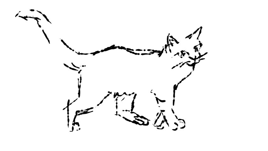 Freehand drawing a cat using a wiggly wobbly line.