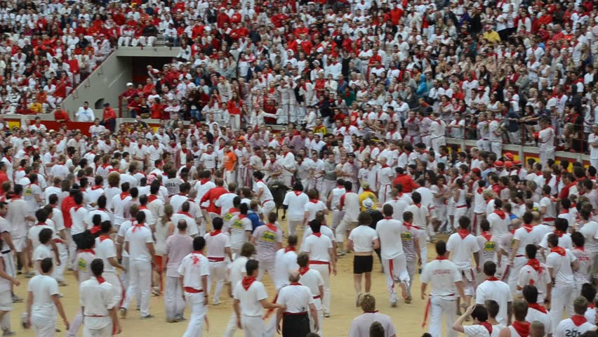 PAMPLONA - SPAIN - CIRCA JULY 2012: Revelers try to escape a wild cow in the bull ring at the end of the Running of the Bulls during San Fermin Festival in Pamplona, Spain circa July 2012.