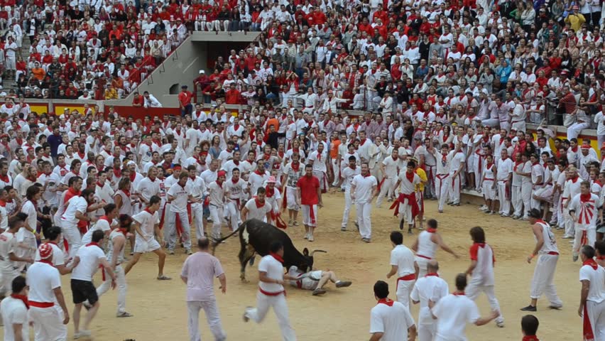 PAMPLONA - SPAIN - CIRCA JULY 2012: Revelers try to escape a wild cow in the bull ring at the end of the Running of the Bulls during San Fermin Festival in Pamplona, Spain circa July 2012.