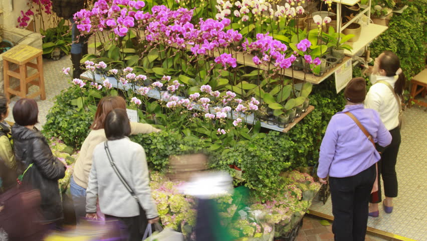 HONG KONG - JANUARY 23: Time lapse of Hong Kong Flower Shop, The Flower Shop Located at Hong Kong Flower Wholesale Market. shot on January 23, 2010 in Hong Kong, China.