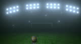 Soccer field in the dark with bright light. Penalty shot