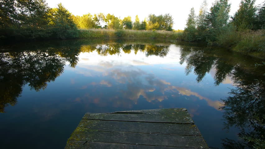 HD - Jump into the Pond