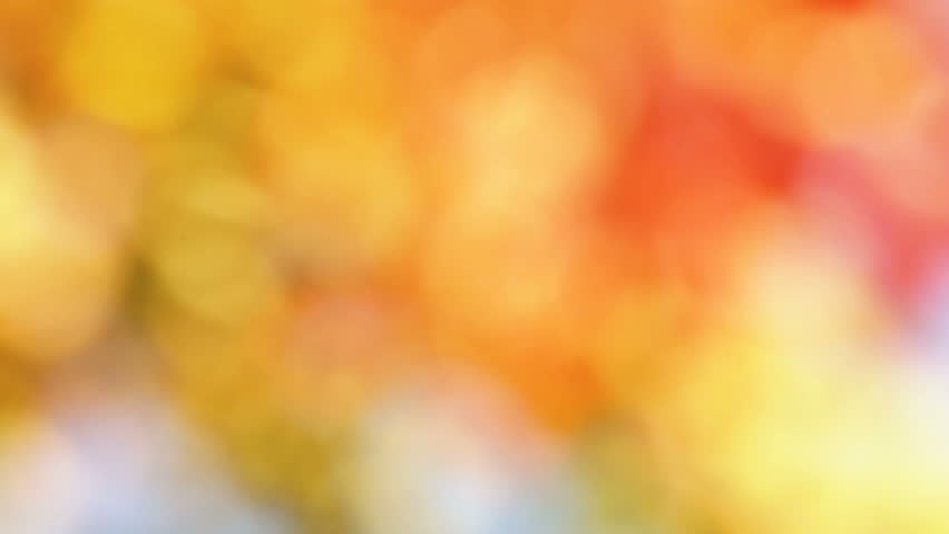 realistic orange natural bokeh light