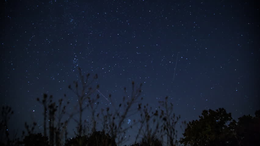 Night Time Time-lapse of the western sky. Stars turn through weeds and trees on a slider. Timelapse