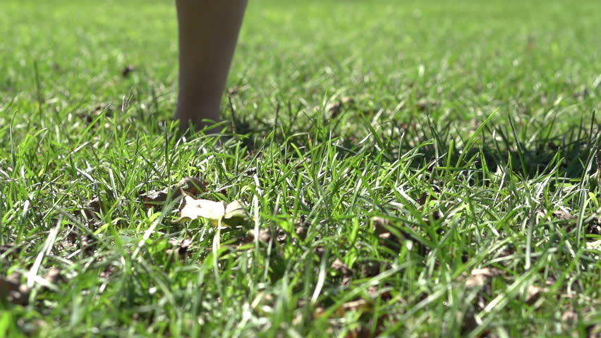 Feet of child in grass running towards camera